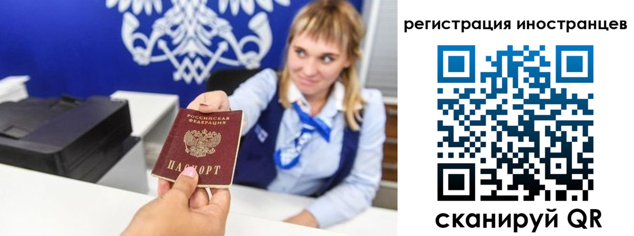 временная регистрация поиск в Ельне