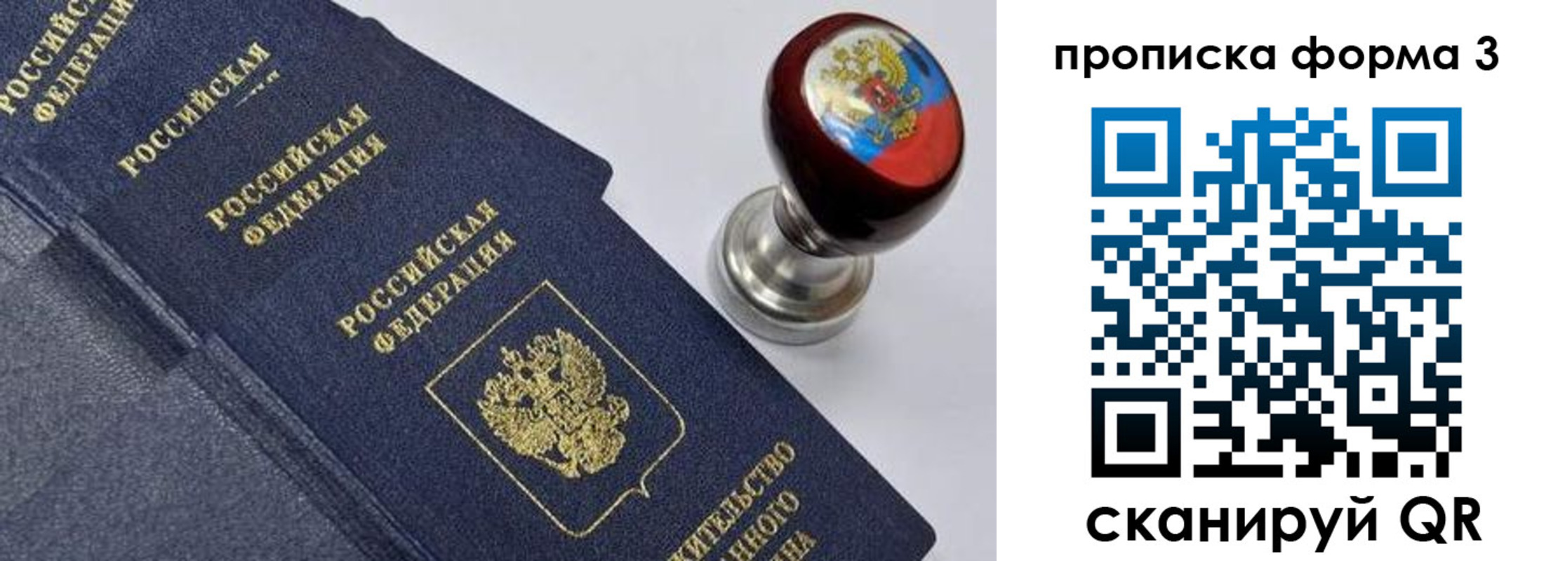 прописка 2025 в Ельне